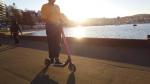 Flamingo Scooters