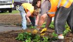 Taupo Community Grants