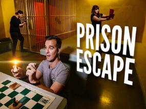 Crate Escape Christchurch