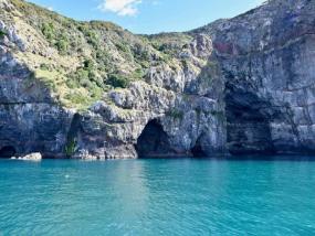 Akaroa Tours