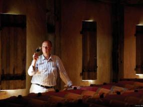 Wine Tours