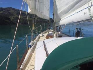 AKAROA SAILING CRUISES 