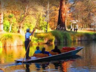 Punting on the Avon