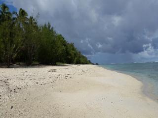Beaches