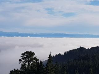 Lyttleton Habour Blanket of Cloud