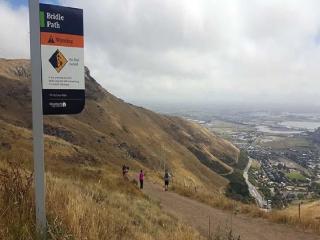 Bridle Path Christchurch