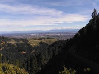 Christchurch Walks