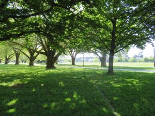 Hagley Park