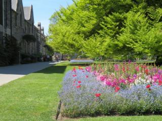 Christchurch Botanic Gardens