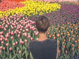 BBB Florists