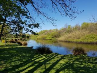 Horseshoe Lake Walk