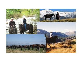 Horse Treks Christchurch Region