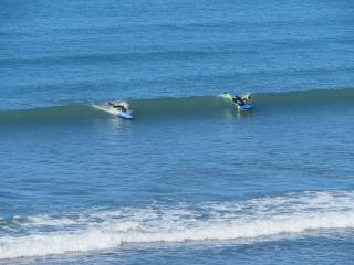 Surf