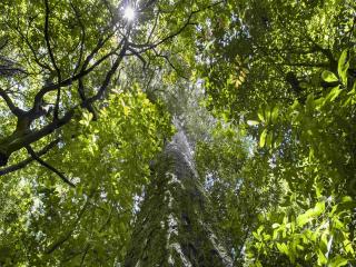 Kaituna Reserve