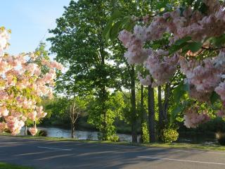 Lake terrace Road