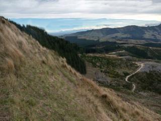 christchurch city walking tour