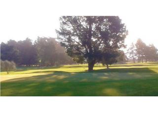 Christchurch Golf