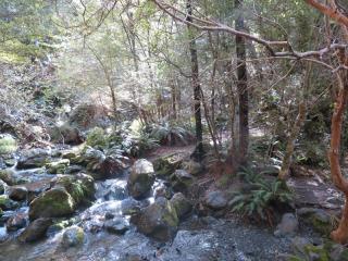 Stream Crossing