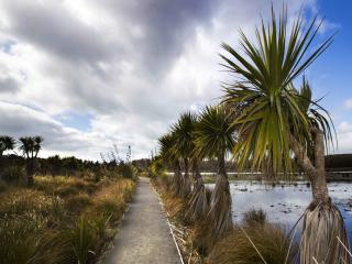 Travis Wetland