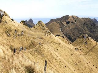 HINEWAI RESERVE