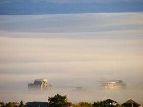 2017 Stadium in Fog