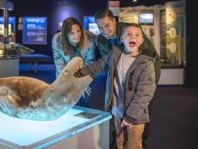 Christchurch Antarctic Centre 