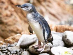 Christchurch Antarctic Centre Friends