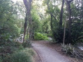 Ernle Clark Reserve Path