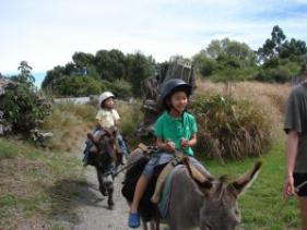 Willowbank Horse Riding