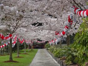 Kurashiki Sister City Garden