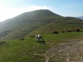 Godley Head Track