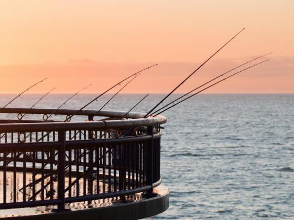 Fishing in Christchurch, New Zealand