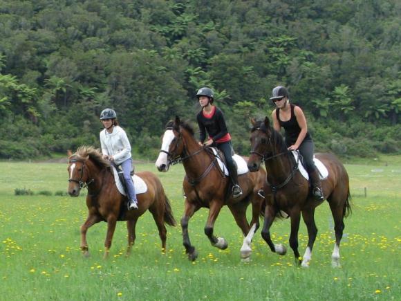 Horse Trekking Christchurch, New Zealand